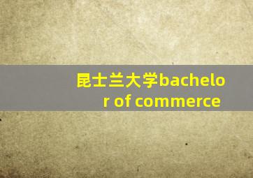 昆士兰大学bachelor of commerce